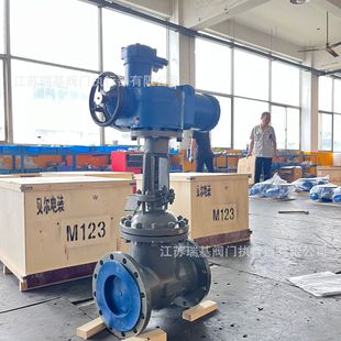 铸钢电动闸阀 一体式 MZ941H DN250 矿用隔爆型电控阀 64C 法兰