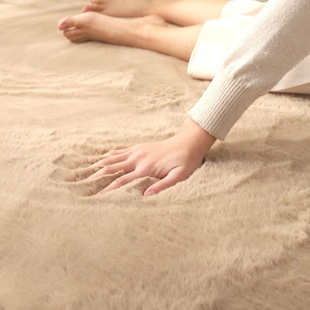 地毯纯色冬天加厚主卧床边垫客厅地垫短绒全铺床前床下脚垫可机洗