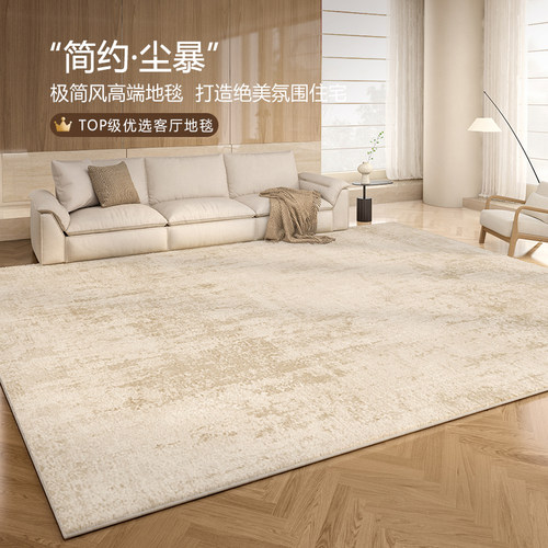 客厅地毯沙发茶几卧室床边毯