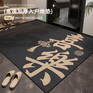 进门门口轻奢防滑耐脏入门地毯蹭脚垫子 入户门地垫高级感2025新款