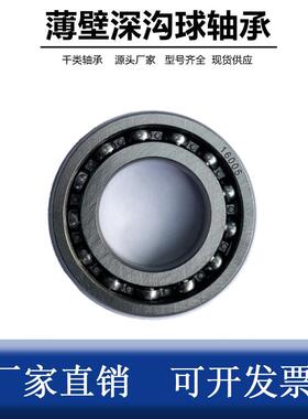 轴承16009 16001 16002 16003 16004 16005 16006 16007 16008 ZZ