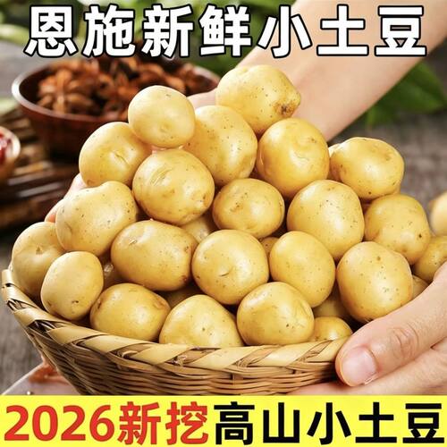 【新鲜现发】恩施黄心土豆黄皮土豆应季新鲜蔬菜马铃薯洋芋蔬菜