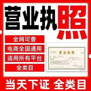 全国注册营业执照个体代办注销电商执照公司对公注册抖音快手网店