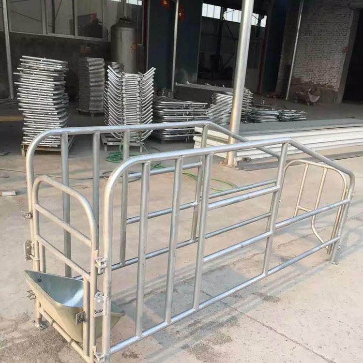 养猪场母猪定位栏 仔猪定位栏 复合板母猪定位栏