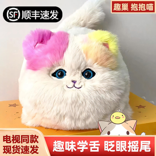 趣巢抱抱喵儿童玩具小女孩子生日礼物仿真猫咪毛绒公仔6女宝8女生