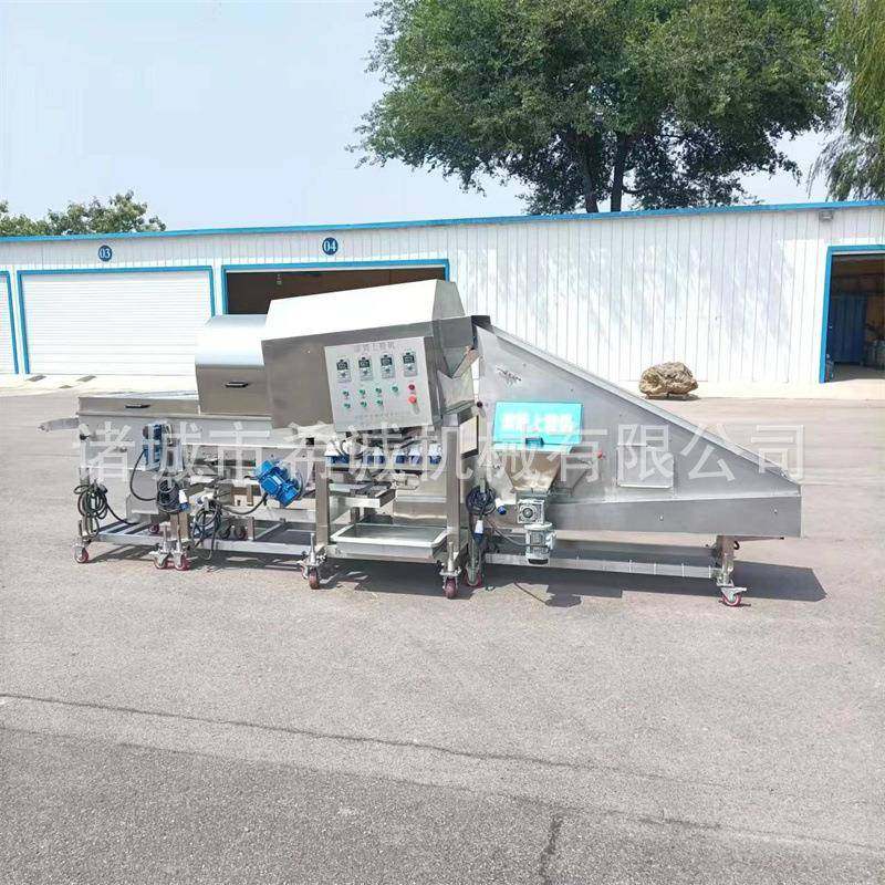 希诚全自动滚筒上粉机鸡米花滚筒裹粉机鸡排里脊肉上粉机,清洗/食品/商业设备,其他食品加工设备,淘宝优惠券,粉丝福利购,淘宝优惠卷