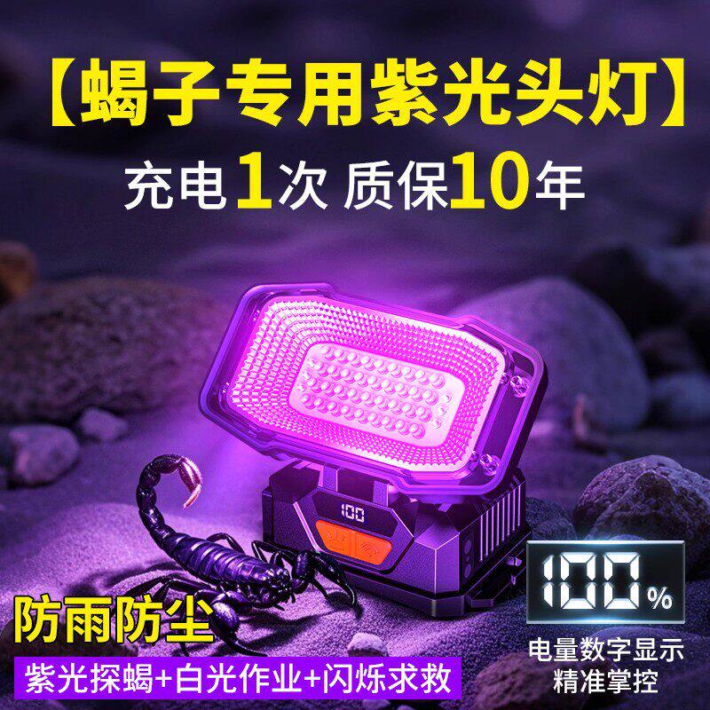 蝎子专用灯大功率型白紫双光源强光手电筒充电户外紫光照蝎子灯