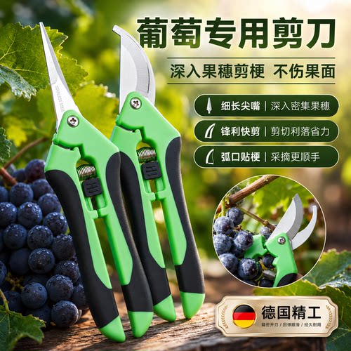 葡萄专用剪刀摘果剪强力修枝剪子园林稀果花艺剪水果蔬果采摘剪子