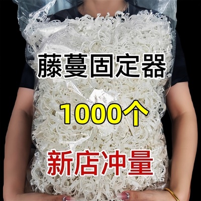 黄瓜西红柿藤蔓专用豆角固定器
