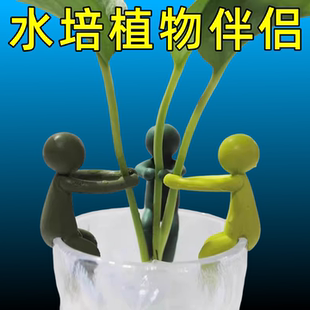 新款水培植物生长伴侣水培器皿扶正扶枝桌面装饰固定造型防倒伏叶