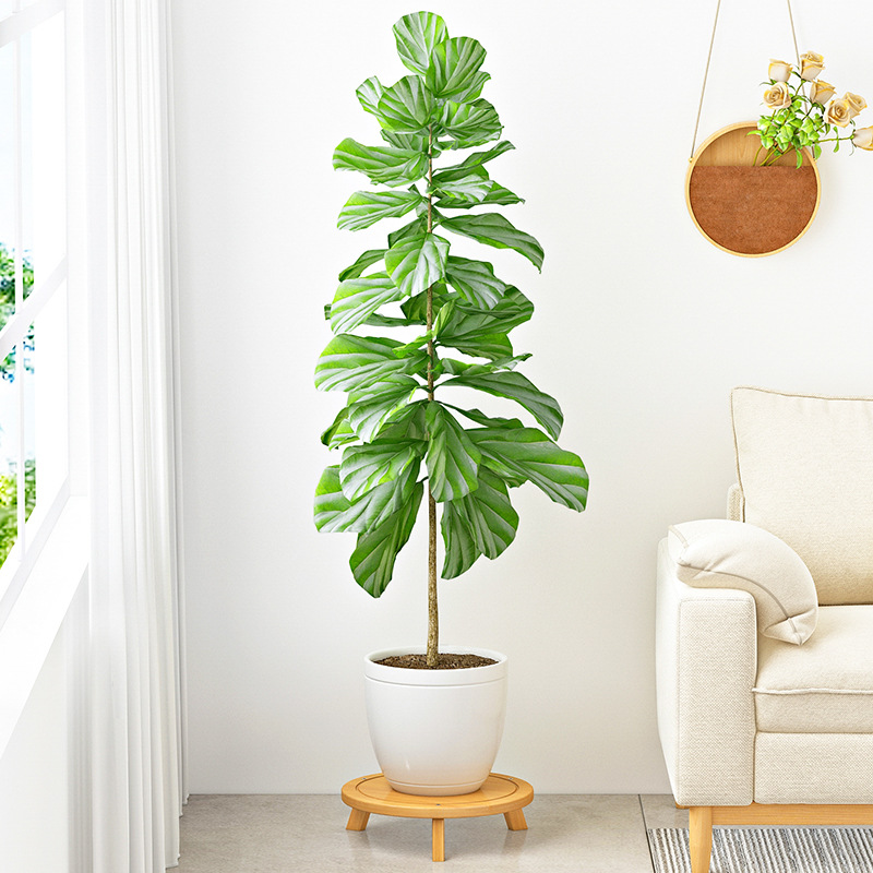 实木万向轮移动花盆家用茶几托盘