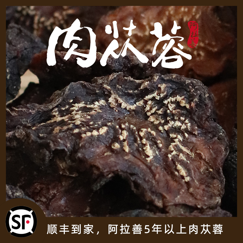 阿拉善肉苁蓉荒漠大号切片