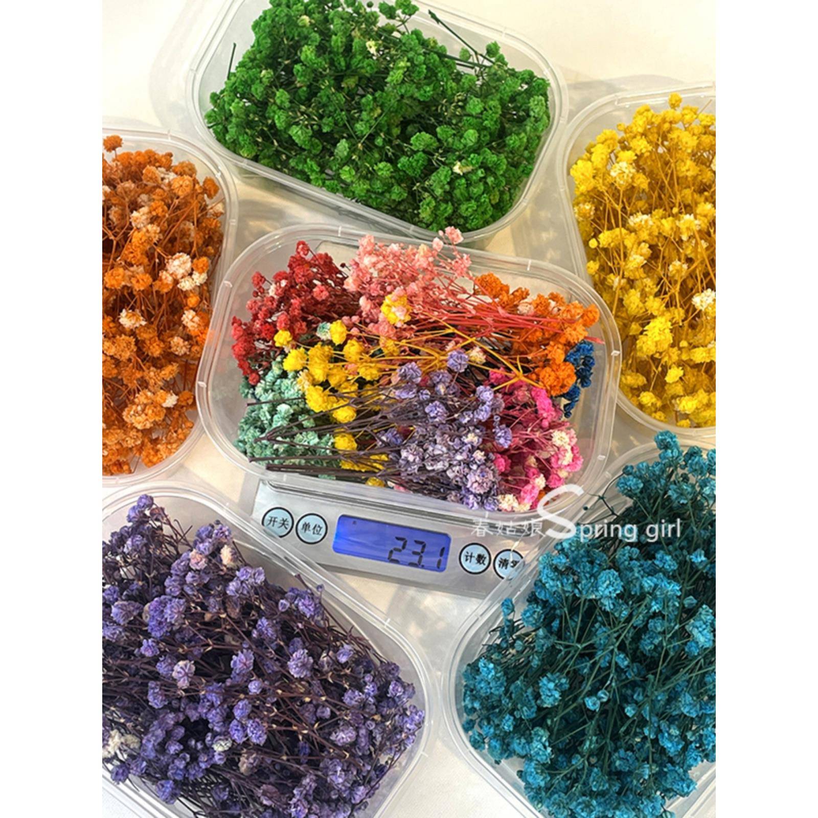 满天星干花diy永生花材 相框盒装干花包 装饰真花ins摆件拍摄道具