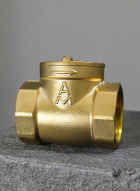 埃美柯软密封止回阀黄铜卧式水表止逆阀防反水家用工程螺纹单向阀