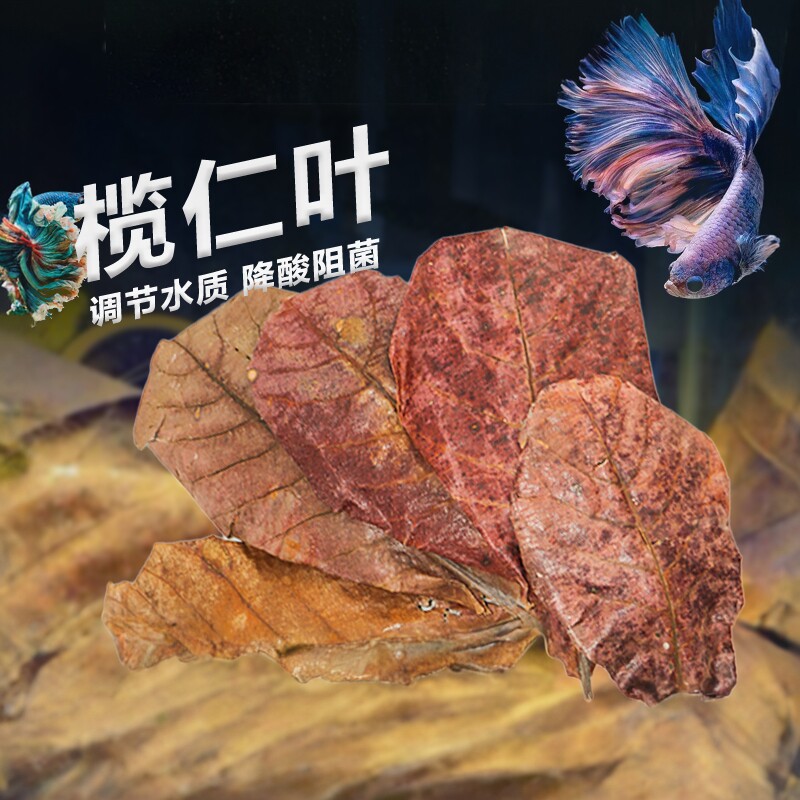 榄仁叶鱼缸降ph值降低水族降酸图片