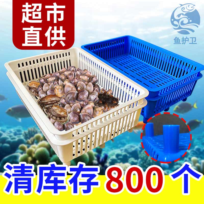 海鲜池大号粗腿花甲盒贝壳盒