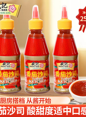 盛记番茄酱250g 家用手抓饼酱薯条意面家用番茄沙司挤压瓶辣椒酱