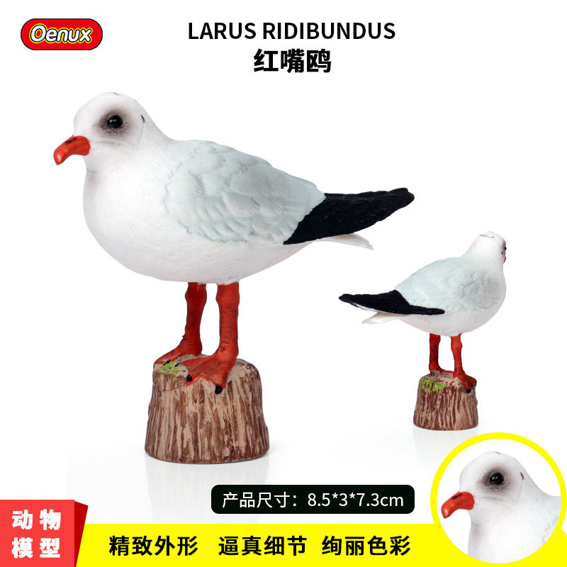 仿真实心野生动物模型鸟类红嘴鸥
