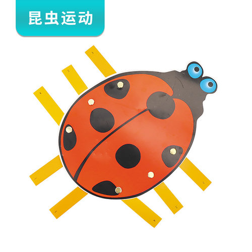 昆虫运动模型diy科技小制作steam