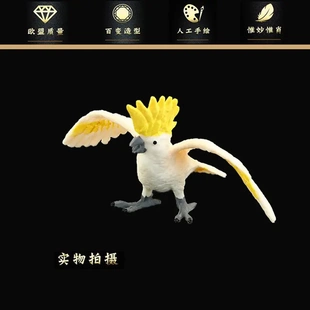 實心仿真動物模型套裝 動物玩偶 玩具鳳頭鳥類兒童認知擺件仿真