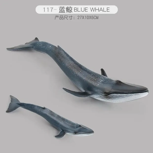 仿真实心抹香鲸蓝鲸白鲸鲸鱼邓氏鱼海洋动物生物模型儿童玩具摆件