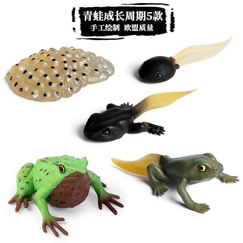 儿童认知玩具仿真动物模型青蛙
