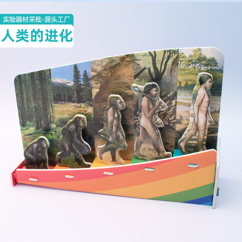 人类进化幼儿园手工拼装小学生