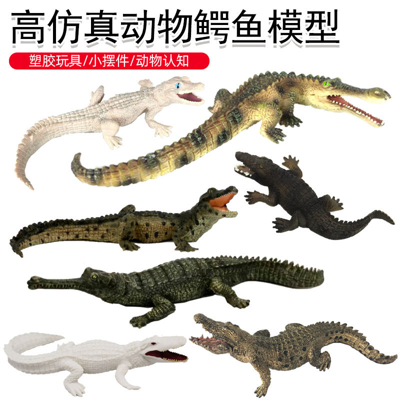 儿童仿真鳄鱼玩具模型两栖野生