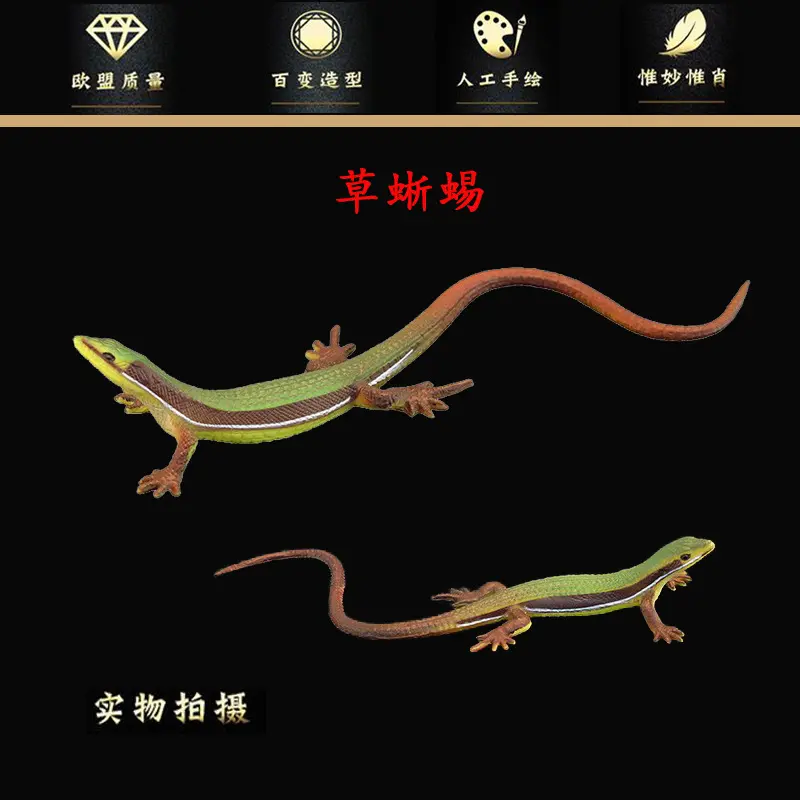 实心仿真动物玩具模型套装草蜥