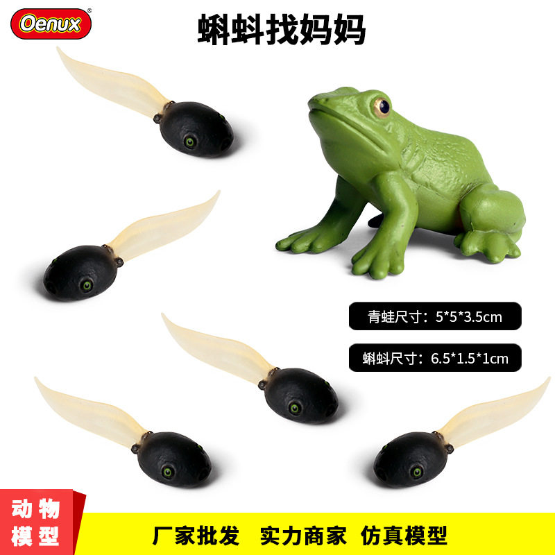 蒙氏认知教具小蝌蚪找妈妈儿童