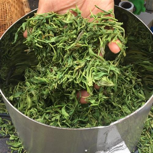 揉茶机家用小型电动手摇捻茶机全自动揉茶机揉捻机茶叶加工成条机