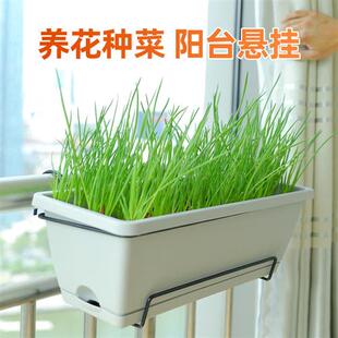 长条长方形养花神器家庭阳台种菜花盆挂式 挂起来 塑料霍伦盆种植