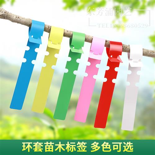 环套标签花卉植物苗木环扣园艺标记牌月季塑料防水果树盆景标识牌