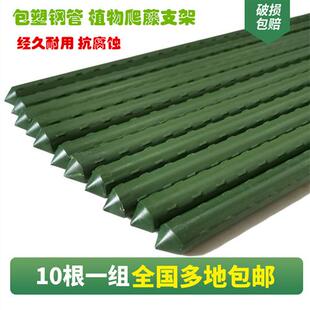 植物爬藤架园艺支架包塑料管黄瓜番茄葡萄爬藤支撑杆包塑支柱杆子