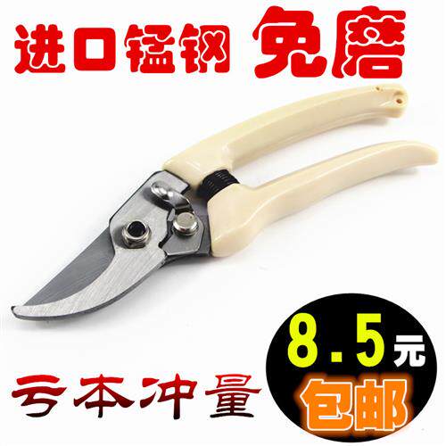 修枝剪刀葡萄摘水果粗枝剪果树修剪树枝园林工具花艺园艺家用神器