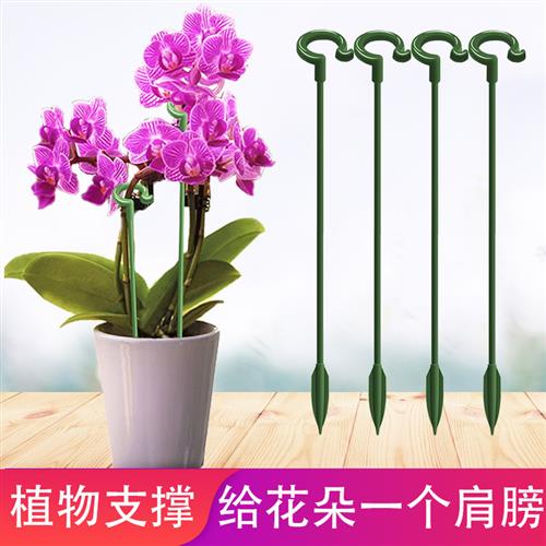 兰花支撑杆花卉支撑花架防倒伏固定吊兰支架蝴蝶兰固定器多肉植物
