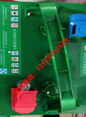 淄博火炬电池3-DG-230 电动车6V260AH 益高观光旅游车 巡逻车电瓶