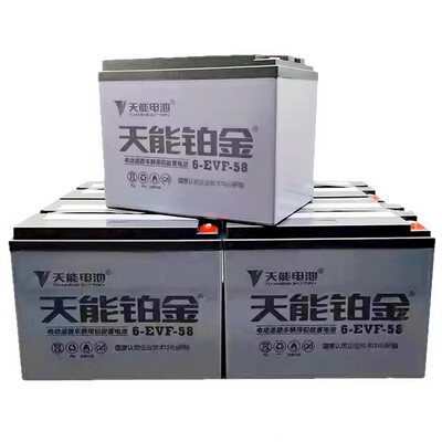 天能蓄电池6-EVF-58电动三轮车