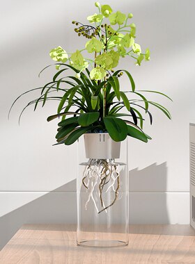 专业水培定植篮整套加厚塑料花盆
