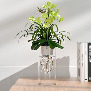 水培植物固定篮蝴蝶兰花瓶粉掌圆形塑料水养花盆控根种植内挂篮