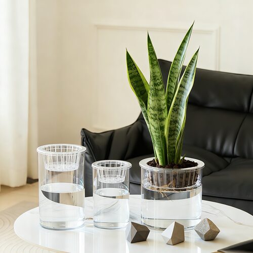 定植篮水培植物防摔亚克力透明加厚直筒圆柱形花瓶简约粉掌水培瓶