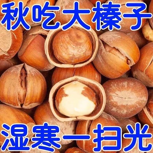 大榛子500g原味炒熟干果孕妇坚果零食东北特产榛子仁开口大果袋装