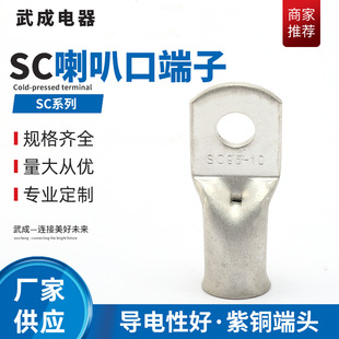 喇叭口镀锡紫铜T2端子铜管 接线冷压端子喇叭口铜鼻子连接器