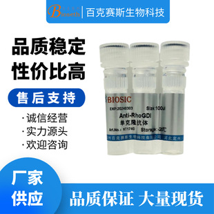 Anti-RhoGDI Monoclonal antibody 实验用单克隆抗体