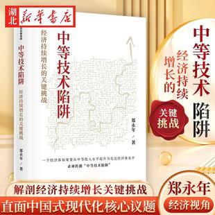 中等技术陷阱 经济持续增长的关键挑战 郑永年力作 直面中国式现代化关键议题 剖解新质生产力的核心动能 何谓中等技术陷阱 正版