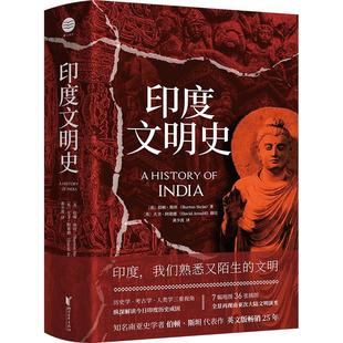 美 新华书店正版 社有限公司 浙江文艺出版 伯顿·斯坦著 印度文明史