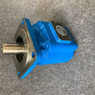 供应CBK1005 齿轮泵 B4FR