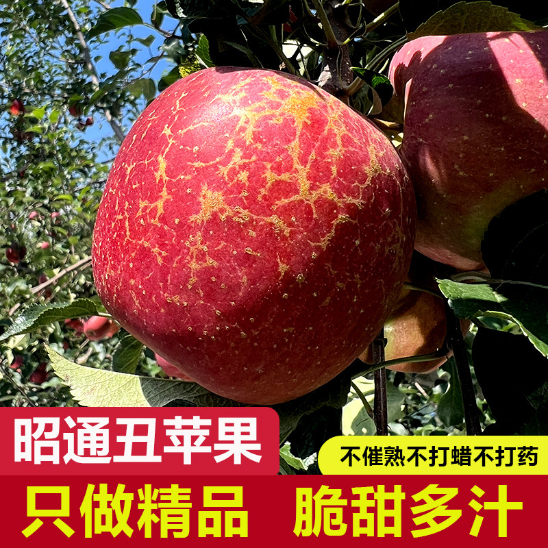 樱桃小果云南昭通糖心丑苹果正宗冰糖心苹果当季整箱脆新鲜小水果,水产肉类/新鲜蔬果/熟食,苹果,淘宝优惠券,粉丝福利购,淘宝优惠卷