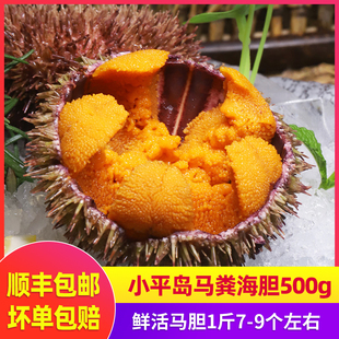 马粪海胆鲜活即食1斤小平岛大连海鲜鲜活海胆新鲜水产刺身生鲜