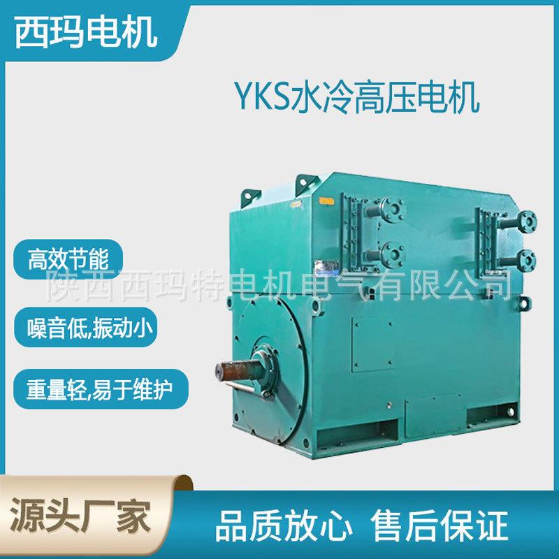 西安泰富电机YS800-6极3550W6V高压交流三相异步电动机